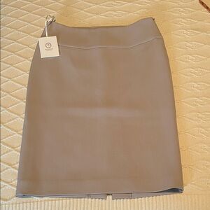 Peserico Dove Gray Pencil Skirt size IT42 NEW